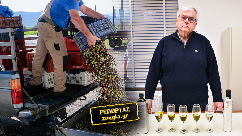 Αυτοψία της «Ζούγκλας» στη νοθεία του ελαιολάδου