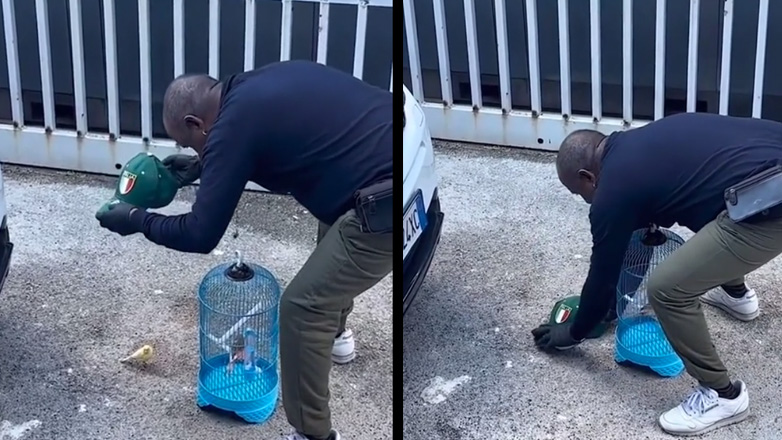 Άνδρας προσπαθεί να πιάσει έναν παπαγάλο με ένα καπέλο