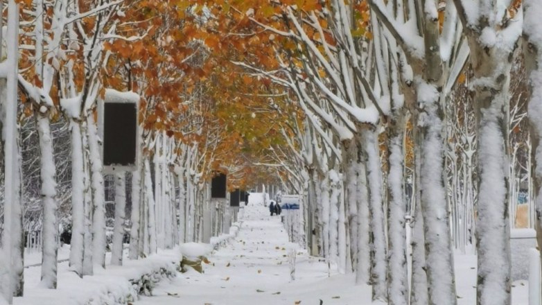 Πεκίνο: Έκλεισαν σχολεία, ανέστειλαν δρομολόγια τρένων και επέβαλαν τηλεργασία μετά από τις σφοδρές χιονοπτώσεις