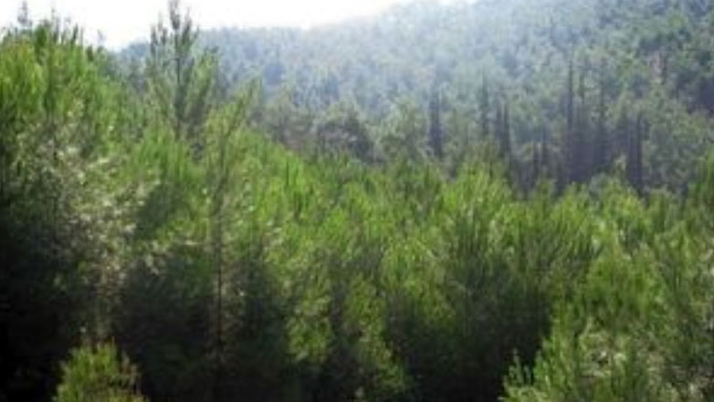 Διεπιστημονικό πρόγραμμα για την περιβαλλοντική κρίση στη Βόρεια Εύβοια