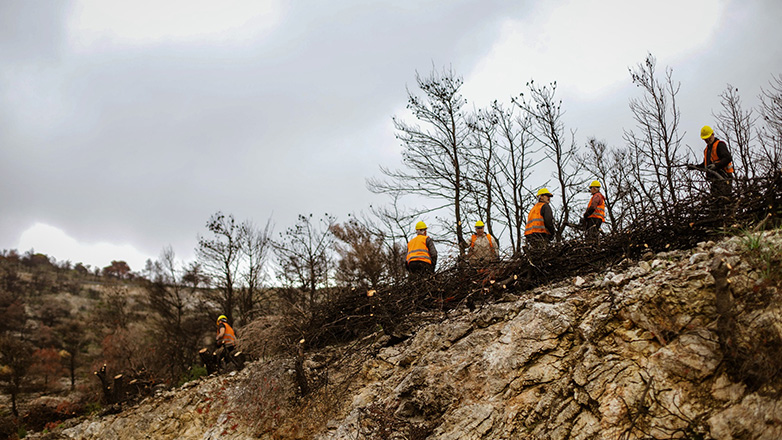 ΔΕΗ: Αποκατάσταση 13.600 στρεμμάτων στην Πάρνηθα με χορηγία €2,5 εκατ.