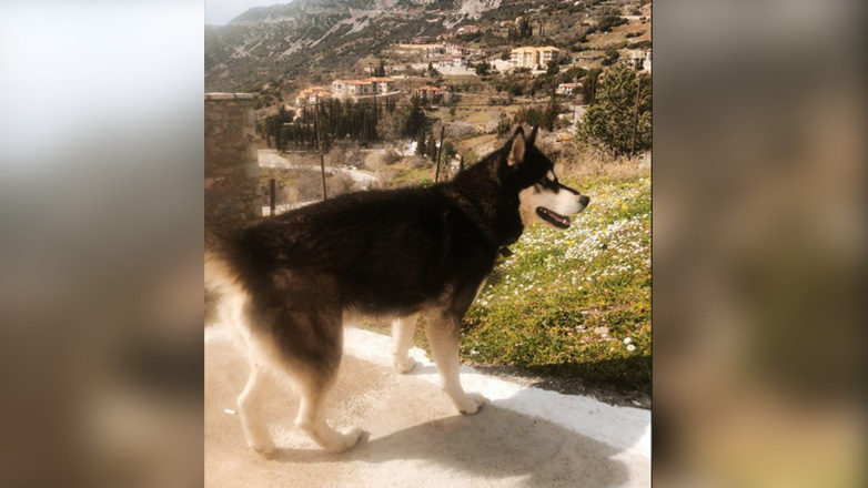 Όλιβερ: «Μην προσπαθούμε να δημιουργούμε θεωρίες συνωμοσίας»