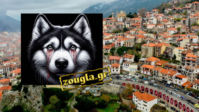 Ετοιμάζονται για Αράχωβα οι φιλόζωοι – Την Κυριακή η διαμαρτυρία για τον Όλιβερ – Τι λένε στη «Ζούγκλα» οι διοργανωτές