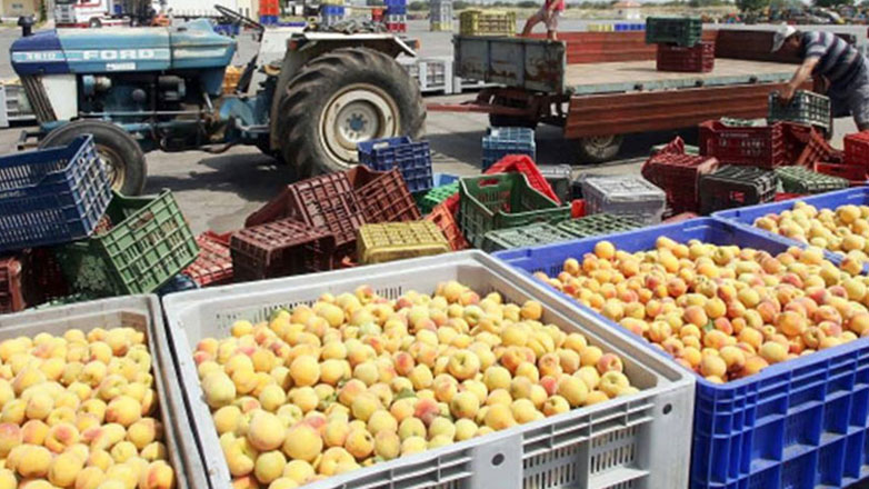 Βορίδης: Ενεργητικό το αγροτικό ισοζύγιο έπειτα από δεκαετίες