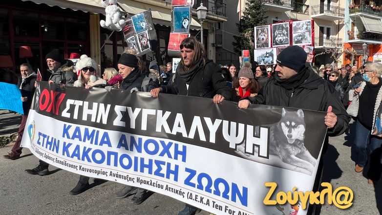 Αράχωβα: Συγκέντρωση φιλόζωων για τον Όλιβερ