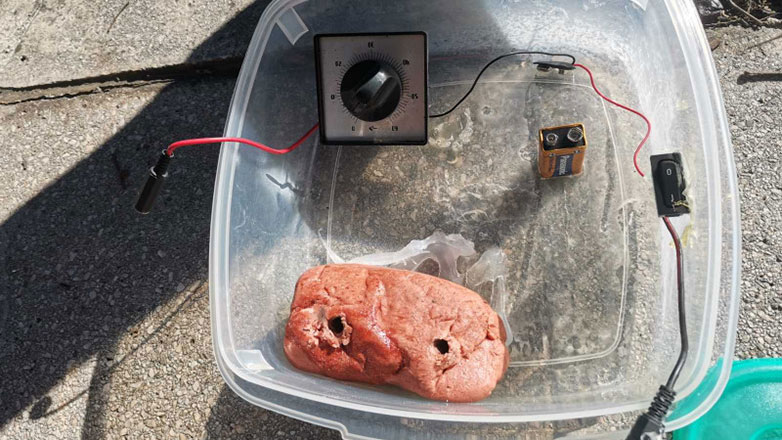 Βρέθηκε η βόμβα στου Ζωγράφου μετά από τηλεφώνημα στη «Ζούγκλα»