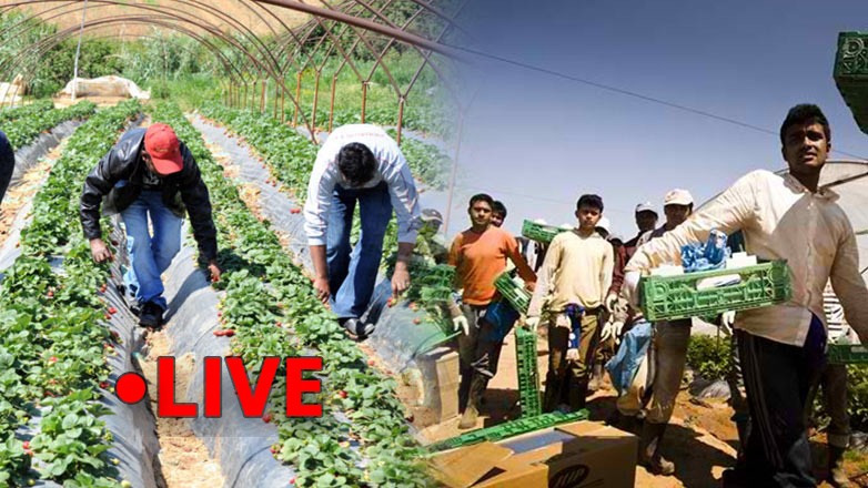 Οι μετανάστες- εργάτες γης προκαλούν «πονοκέφαλο» στο Μαξίμου – Δείτε LIVE τη συζήτηση στη Βουλή