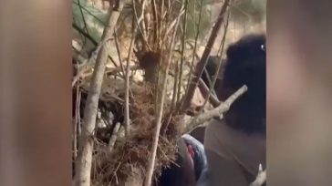 Νέες ανατριχιαστικές μαρτυρίες για την επίθεση της Χαμάς – «Κοπέλα έχασε τις αισθήσεις της και συνέχισαν να τη βιάζουν»