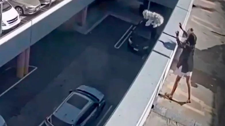 Βίντεο σοκ: Πέταξε το σκυλί της από την ταράτσα – «Της έκανα χάρη»