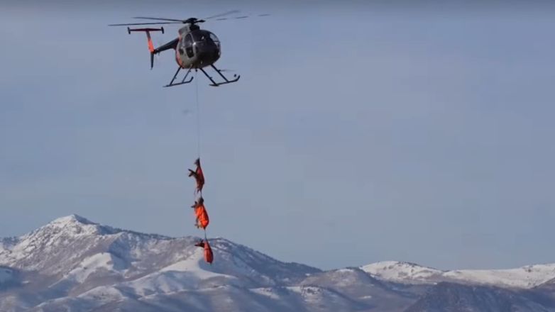 ΗΠΑ: Απίστευτο βίντεο – Ελάφια μεταφέρονται με ελικόπτερο από τη Γιούτα