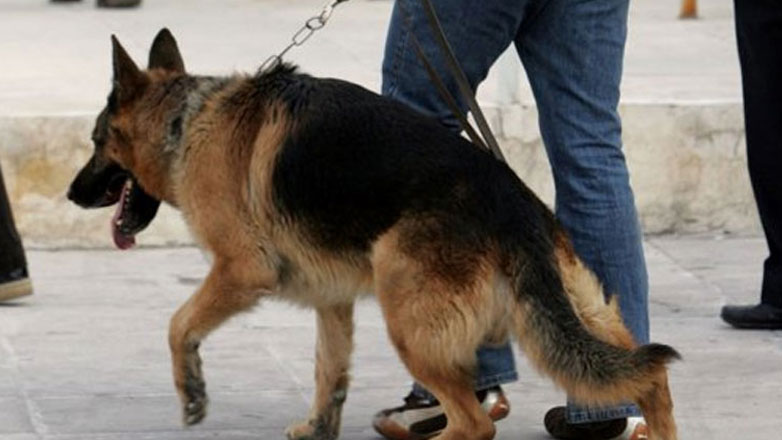 O Jack «τσάκωσε» τα ναρκωτικά