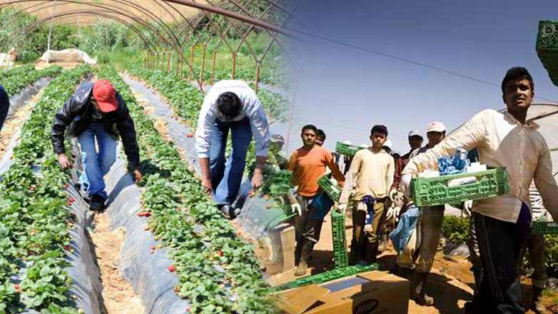 Υπ. Εργασίας: Διευκρινιστική δήλωση για τη δήθεν κρυφή συμφωνία Ελλάδας – Πακιστάν για τη μετάκληση 500.000 μεταναστών