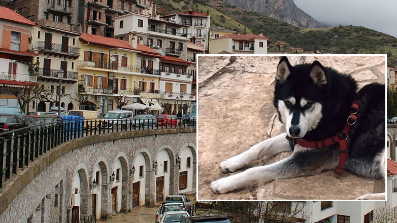 Ανατροπή και «πόλεμος» πραγματογνώμονα και ιδιοκτήτη του Όλιβερ για το θάνατο του χάσκι