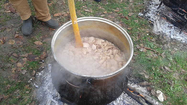 Το έθιμο της «τσιγαρίδας» αναβιώνει στην Πιερία