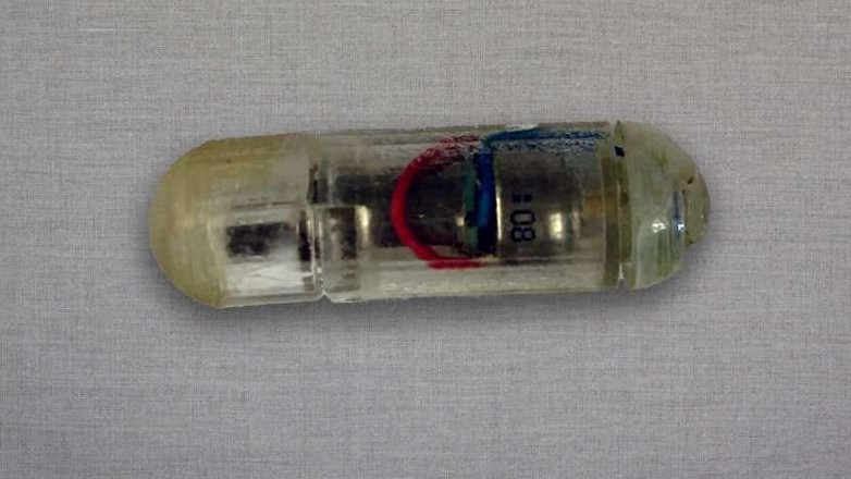 Ερευνητές δημιούργησαν συσκευή που καλύπτει το αίσθημα του κορεσμού