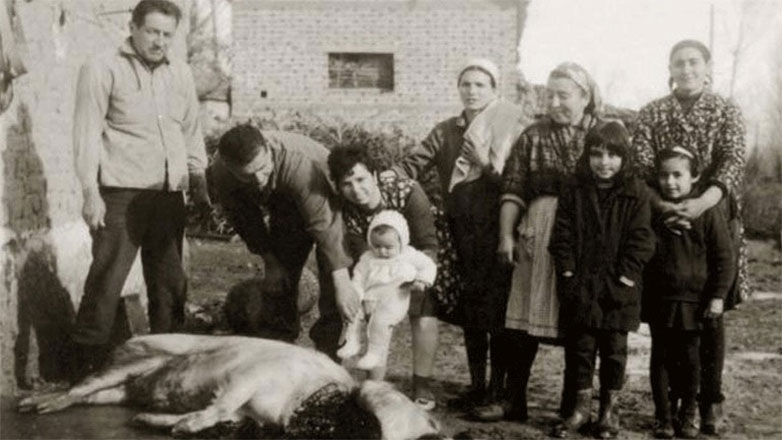Το έθιμο της γουρνοχαράς στα χωριά του κάμπου της Καρδίτσας