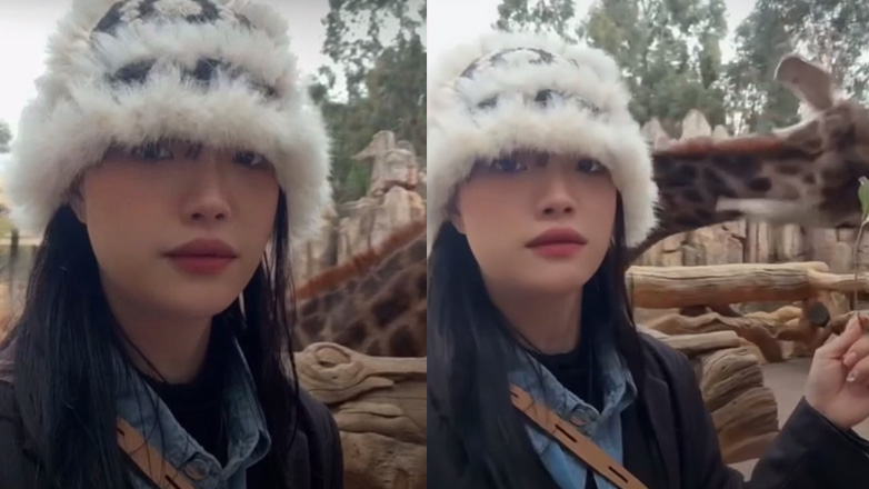 Σοβαρές αντιρρήσεις στην προσπάθεια μιας selfie