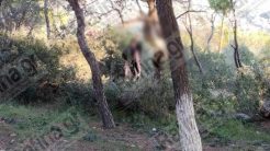 Σοκ στη Ραφήνα: Γυναίκα βρέθηκε κρεμασμένη σε δέντρο πίσω από εκκλησάκι
