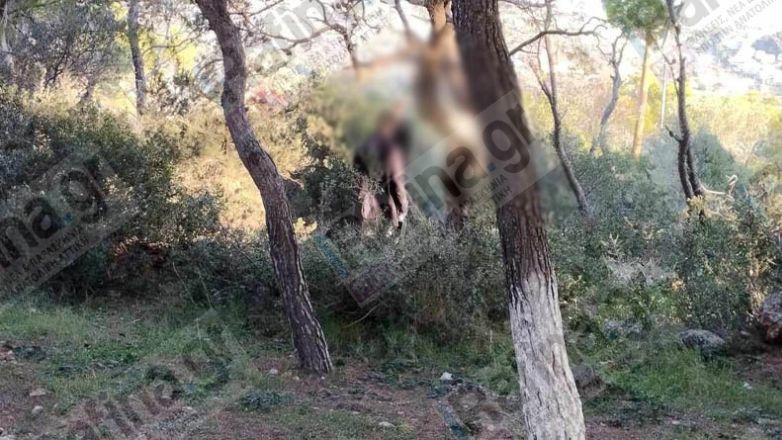 Σοκ στη Ραφήνα: Γυναίκα βρέθηκε κρεμασμένη σε δέντρο πίσω από εκκλησάκι