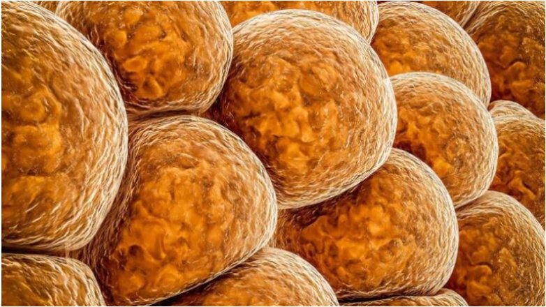 Φάρμακα απώλειας βάρους: Μια αγορά 150 δισ. δολαρίων μέχρι το 2030