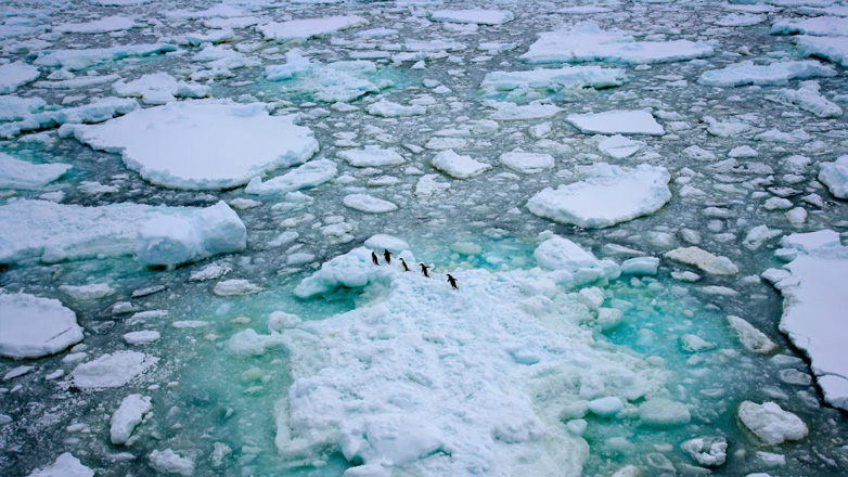 Κόκκινος συναγερμός στην Ανταρκτική