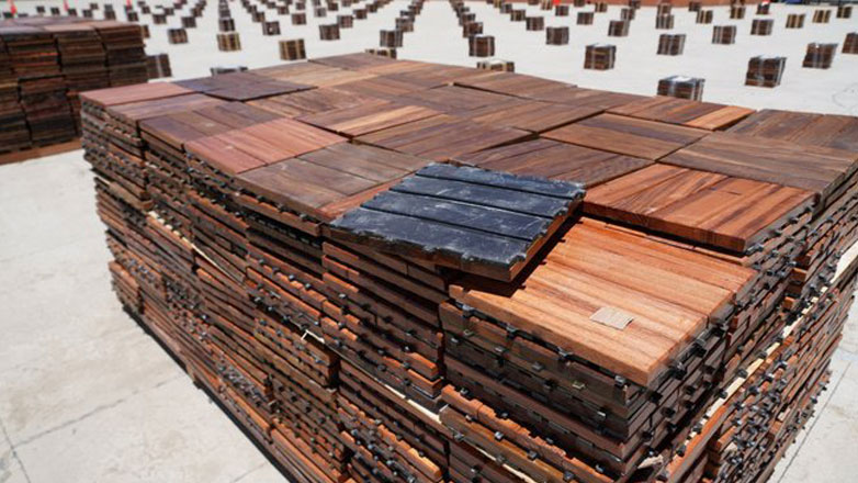 Η Βολιβία ανακοίνωσε την κατάσχεση της μεγαλύτερης ποσότητας κοκαΐνης στην ιστορία της