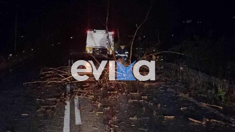 Εύβοια: Πτώσεις δέντρων και διακοπές ρεύματος από την κακοκαιρία