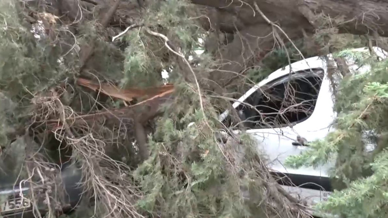 Πυροσβεστική: 485 κλήσεις λόγω των θυελλωδών ανέμων, των βροχοπτώσεων και καταιγίδων