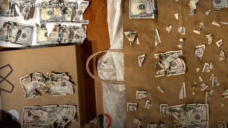 Σκύλος έφαγε 4.000 δολάρια