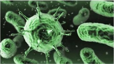 Συναγερμός για τη μικροβιακή αντοχή: 4 στους 10 Έλληνες έχουν λάβει αντιβιοτικά τον τελευταίο χρόνο