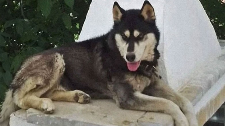 Παρέμβαση εισαγγελέα για τον Όλιβερ