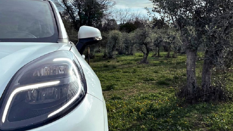 Η Ford χρησιμοποιεί πεσμένα φύλλα και κλαδιά από ελαιόδεντρα για να κατασκευάσει εξαρτήματα