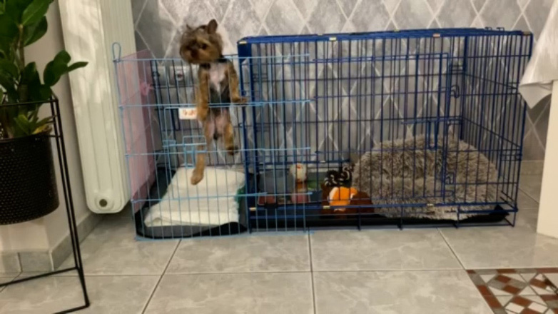 Τύφλα να’χει ο Παλαιοκώστας…