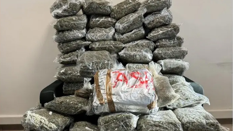 Θεσσαλονίκη: Χειροπέδες σε δύο μέλη κυκλώματος διακίνησης ακατέργαστης κάνναβης – Κατασχέθηκαν πάνω από 66 κιλά