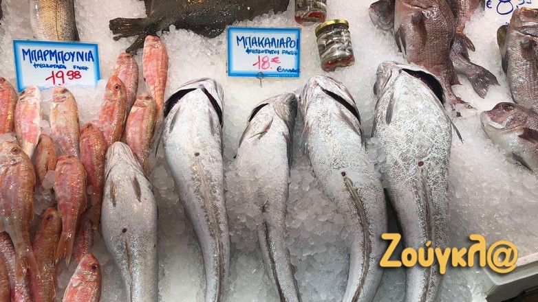 Πιο ακριβά τα ψάρια στα νησιά μας απ’ ότι στην Αθήνα