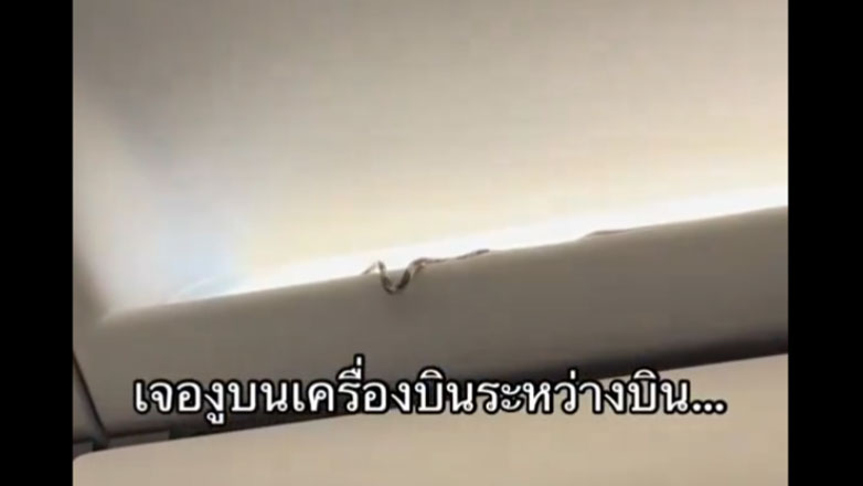 Πανικός σε πτήση: Επιβάτες εντόπισαν φίδι στον χώρο των αποσκευών