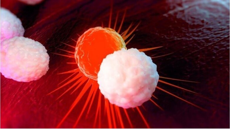 Νέες και αποτελεσματικές θεραπευτικές αγωγές για τη χρόνια λεμφοκυτταρική λευχαιμία