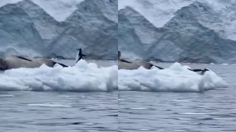 Μεταβολή και πίσω