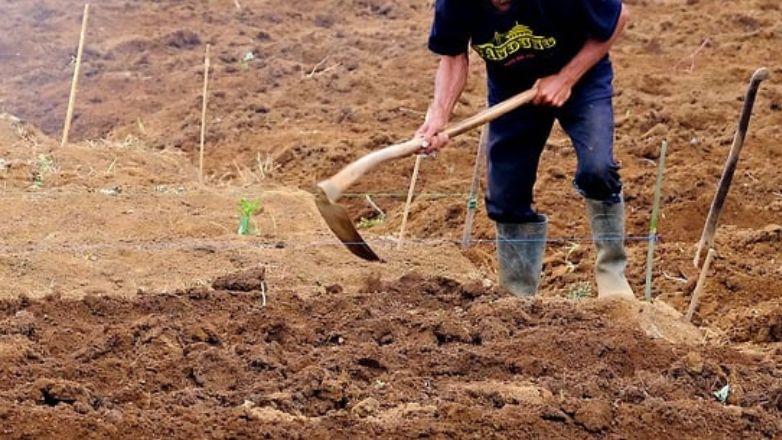 Θεσσαλονίκη: Συνελήφθησαν επτά άτομα για παράνομη ανασκαφή – Έψαχναν για λίρες