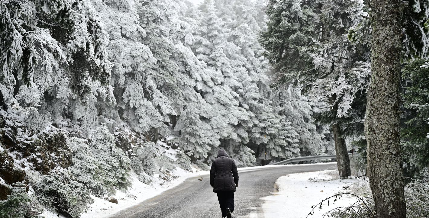 Στα λευκά «ντύθηκε» η Πάρνηθα