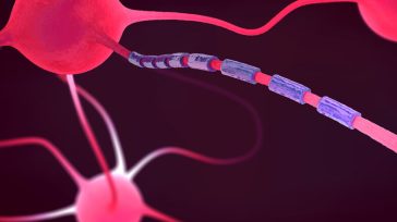 Ελπιδοφόρο φάρμακο για την πολλαπλή σκλήρυνση