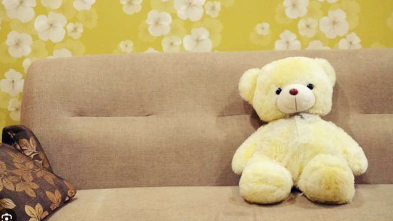 Για κακούργημα η 26χρονη με το «παγιδευμένο» λούτρινο