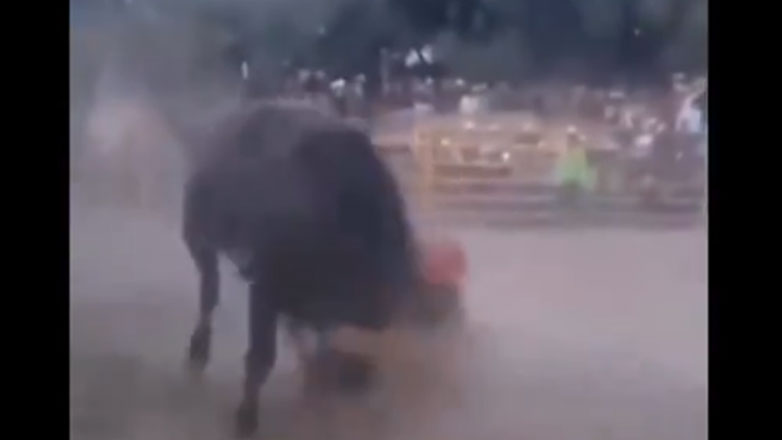 Εντυπωσιακό βίντεο: Έριξε τον ταύρο κάτω με τα χέρια του