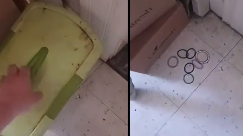 Kλέφτης πιάνεται επ’ αυτοφώρω