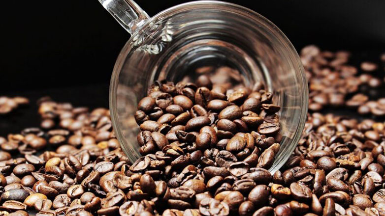 Ιταλία: Επιστήμονες δημιούργησαν ένα νέο γενετικό χάρτη του φυτού του καφέ Arabica