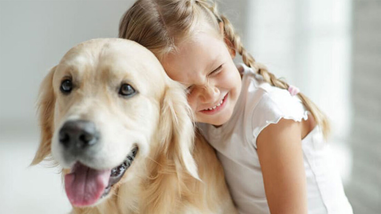Σκύλος και αισθήσεις: Όσα πρέπει να γνωρίζετε
