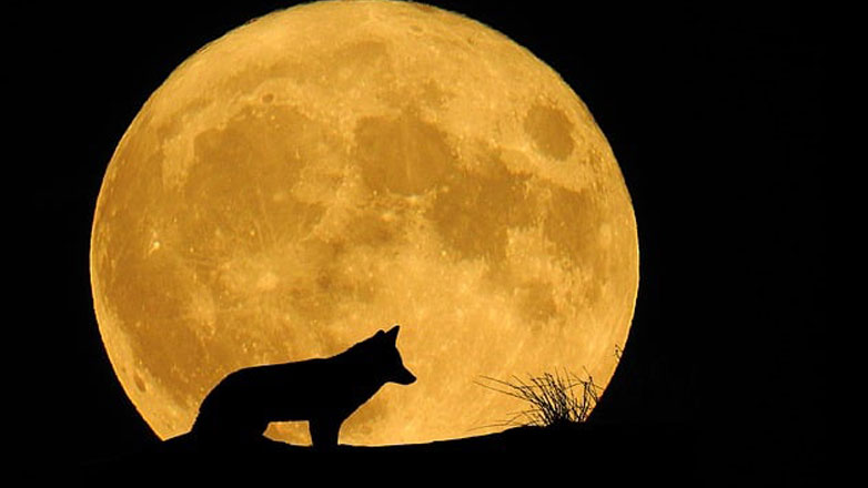 «Φεγγάρι του Λύκου»: Σήμερα η πρώτη πανσέληνος του 2024