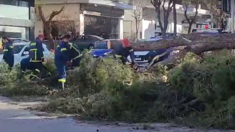 Θεσσαλονίκη: Πτώση δέντρου και παρασύρσεις κάδων από τους ισχυρούς ανέμους