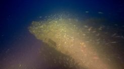 Εντοπίστηκε στον Θερμαϊκό γαλλικό υποβρύχιο από τον Α’ Παγκόσμιο Πόλεμο