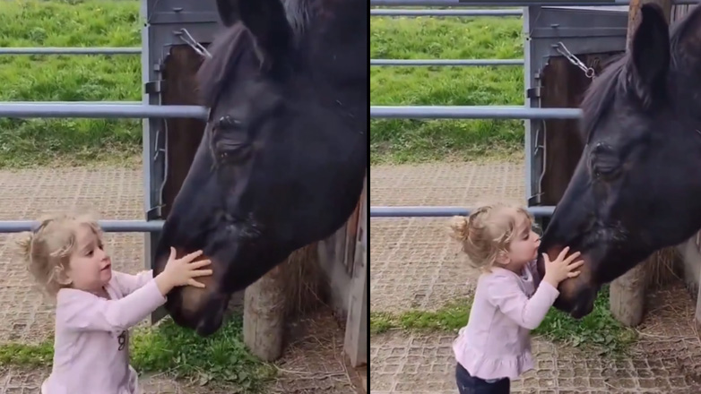 Ένα μικρό παιδί και ένα άλογο